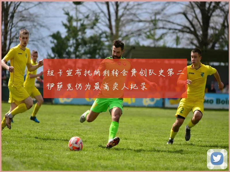 纽卡宣布托纳利转会费创队史第二伊萨克仍为最高卖人纪录